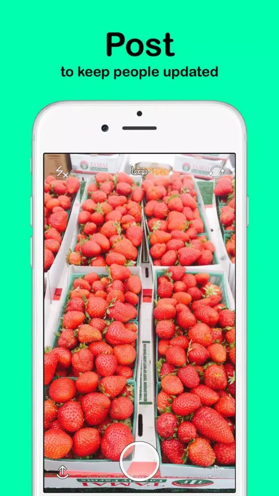 Captures d'écran de Loop - Discover Your World