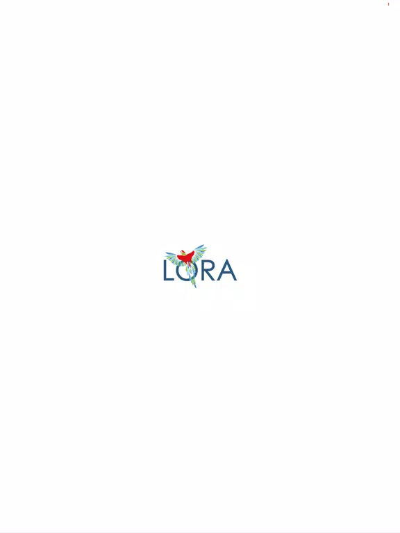 Capturas de tela do LORA Comercio iPad 
