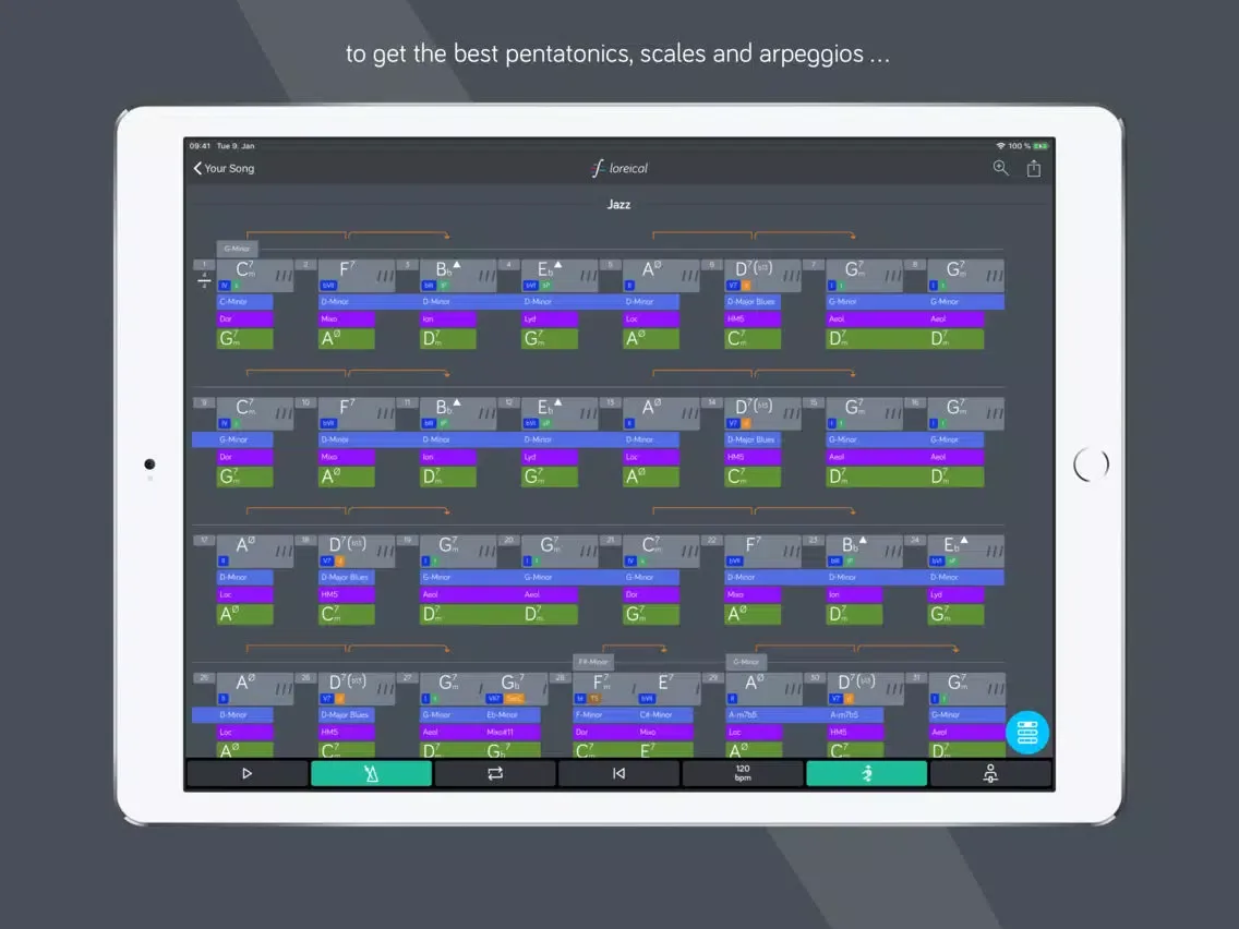 loreical – great guitar solo iPad 應用截圖