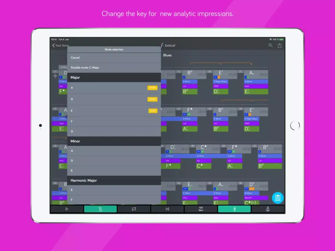 loreical – great guitar solo iPad 應用截圖