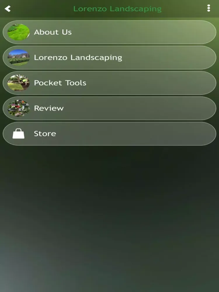 Screenshot di Lorenzo Landscaping iPad 