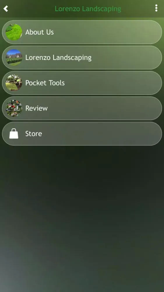 Screenshot di Lorenzo Landscaping