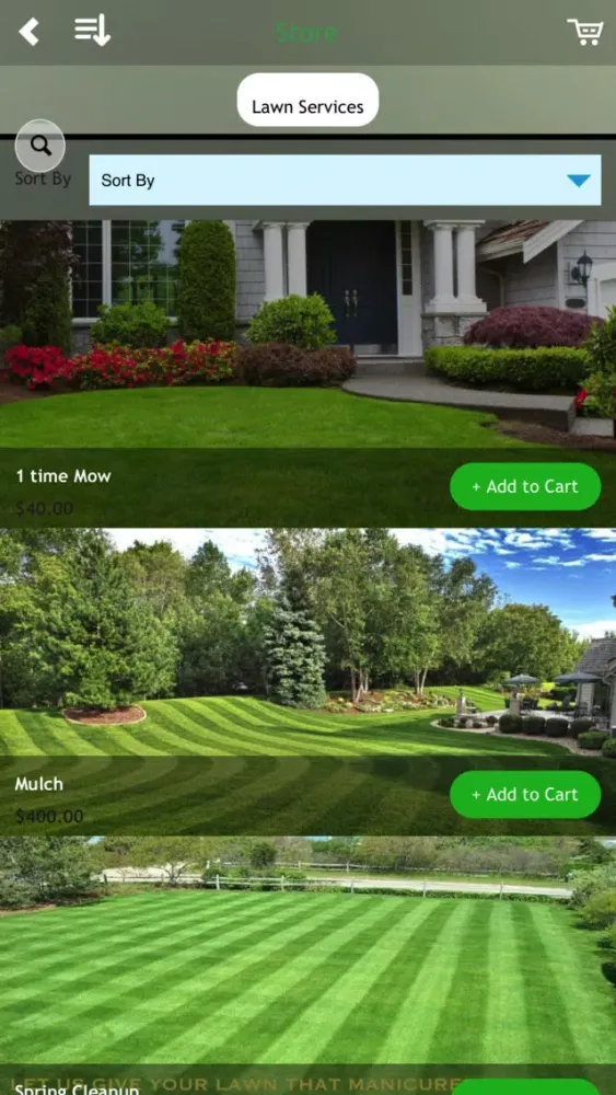 Screenshot di Lorenzo Landscaping