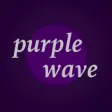 Purple Wave Lorton Investments