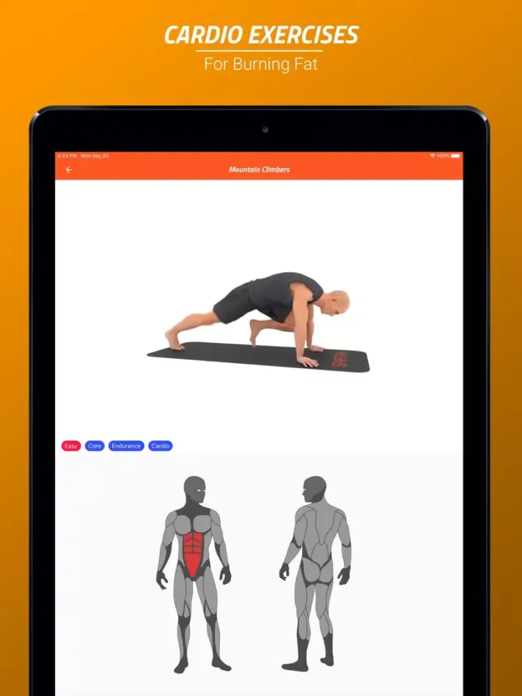 Home Weight Loss Workouts iPad  سکرین شاٹس