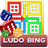 Ludo Bing