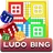 Ludo Bing