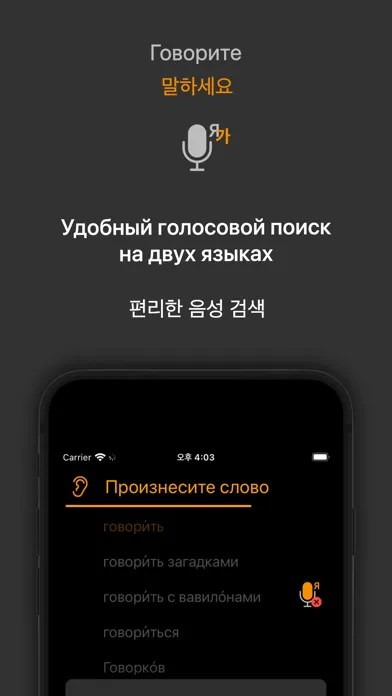 Captures d'écran de KoRusDic Pro 한러/러한 7-in-1 사전