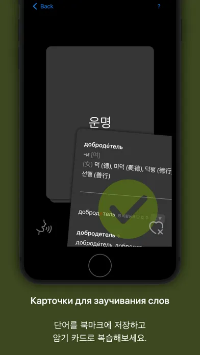 Captures d'écran de KoRusDic Pro 한러/러한 7-in-1 사전