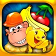 Lost Monkey in Jungle