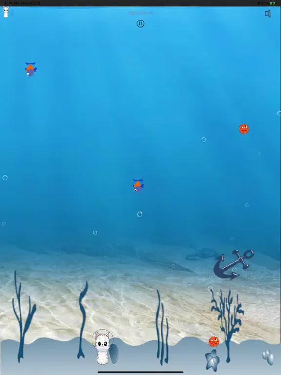 FishCatch App iPad  Screenshots