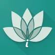 iVerify-Lotus