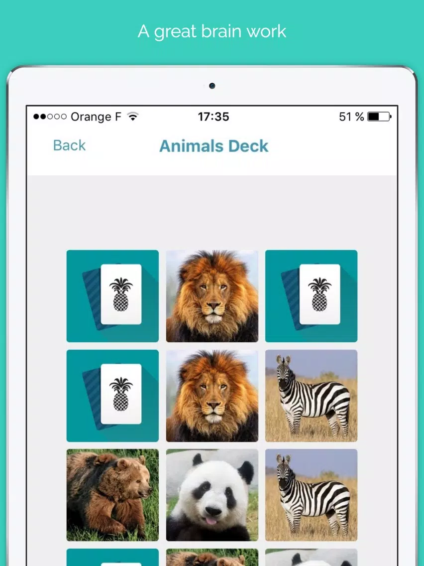 Memory cards free - Brain challenge iPad  Screenshots