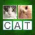 WordTest - ABC Alphabet Words