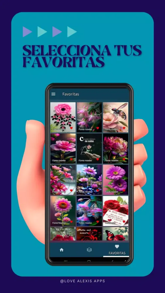 Roses and beautiful flowers应用截图