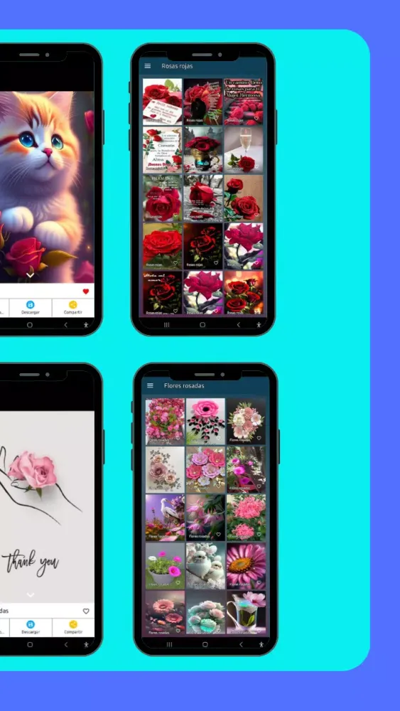 Roses and beautiful flowers应用截图