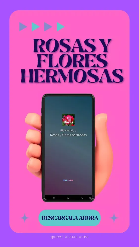 Roses and beautiful flowers应用截图