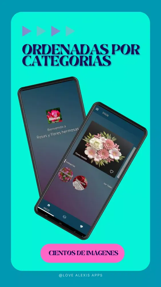 Roses and beautiful flowers应用截图
