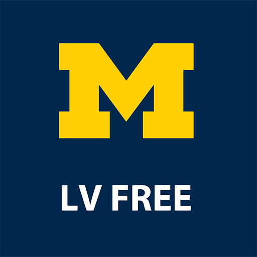 LVFree Vision Enhancer