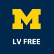 LVFree Vision Enhancer
