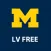 LVFree Vision Enhancer