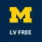 LVFree Vision Enhancer