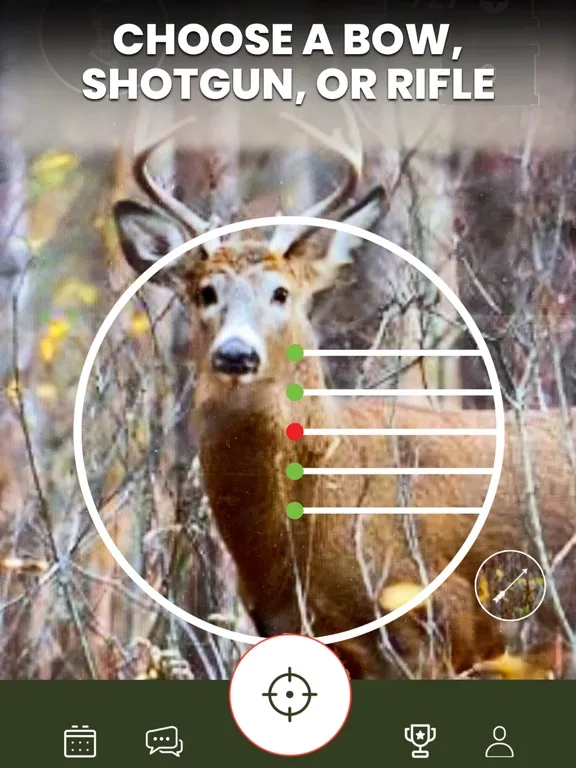 Capturas de tela do Shoot & Release: Camera Hunter iPad 