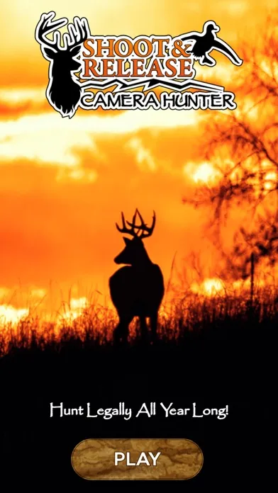 Capturas de tela do Shoot & Release: Camera Hunter