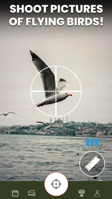 Capturas de tela do Shoot & Release: Camera Hunter