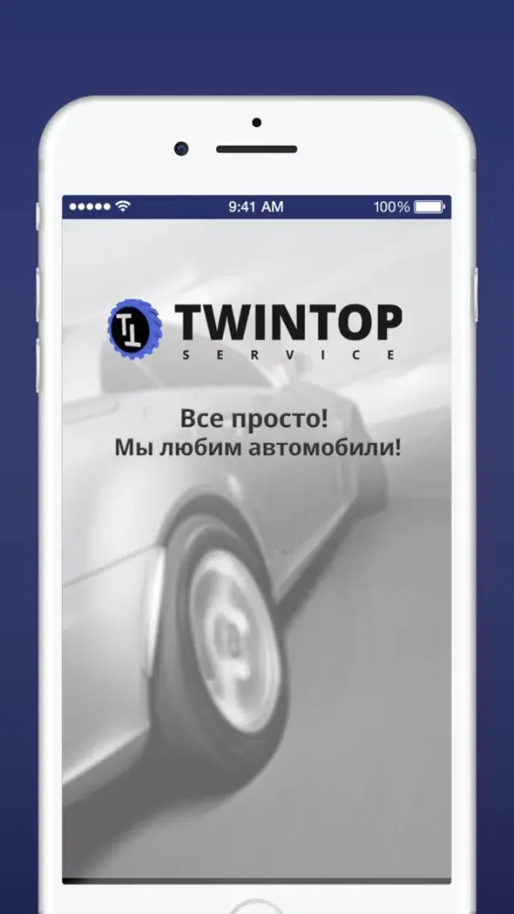Tangkapan skrin Автотехцентр TWINTOP