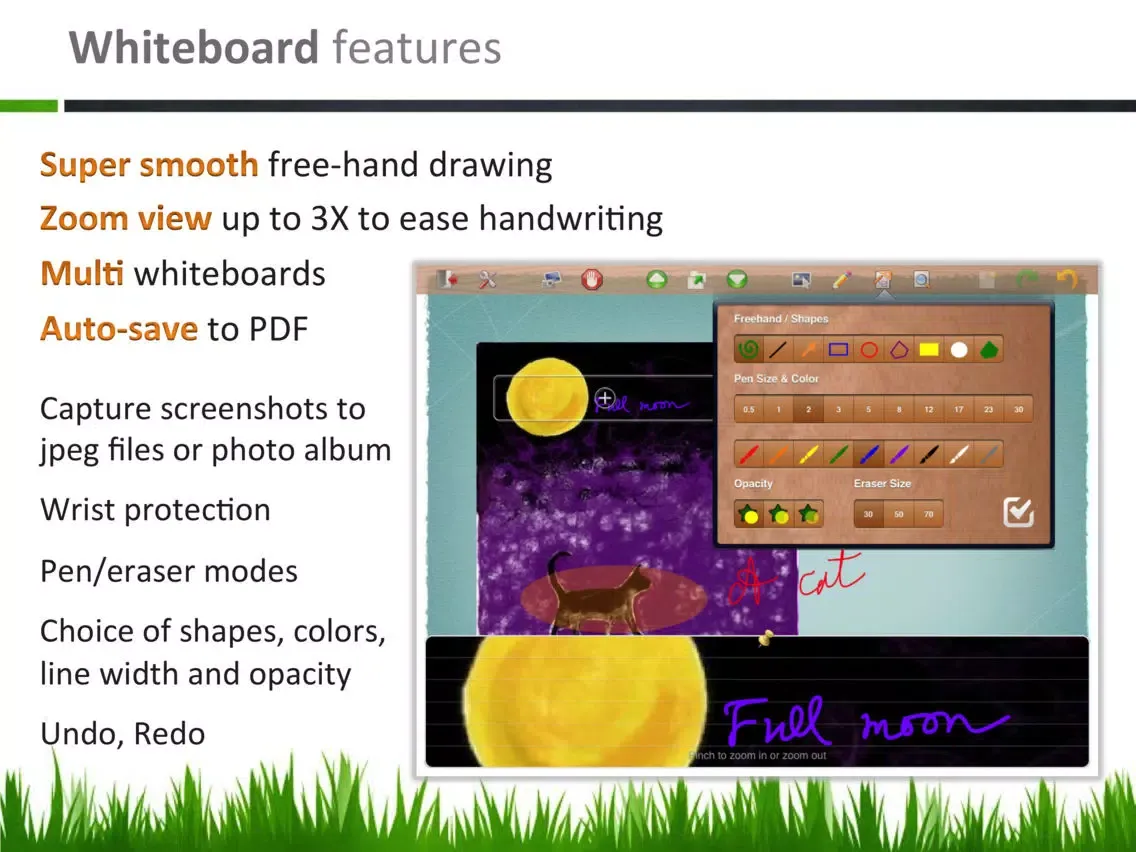2Screens - Presentation Expert iPad  স্ক্রিনশট