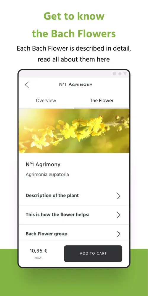 Capturas de pantalla de Bach Flower Self-test