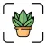 Plant ID: leaf identification