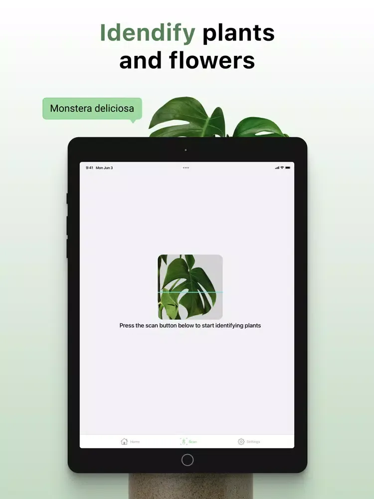 Plant ID: leaf identification iPad 應用截圖