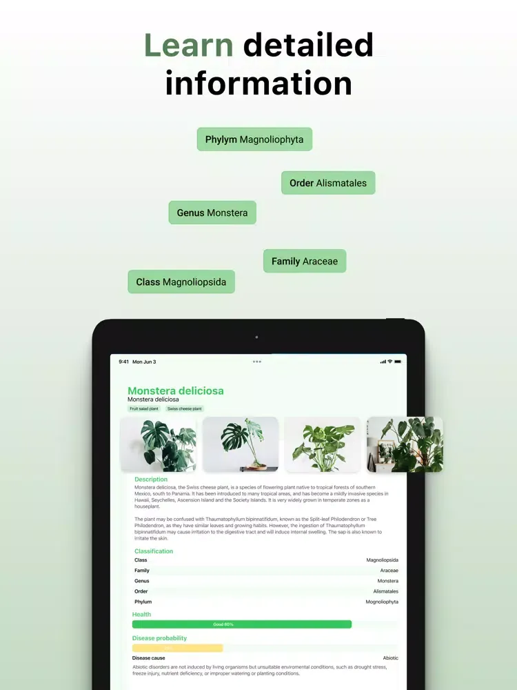 Plant ID: leaf identification iPad 應用截圖