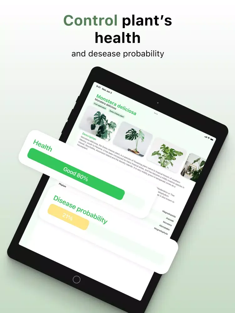 Plant ID: leaf identification iPad 應用截圖