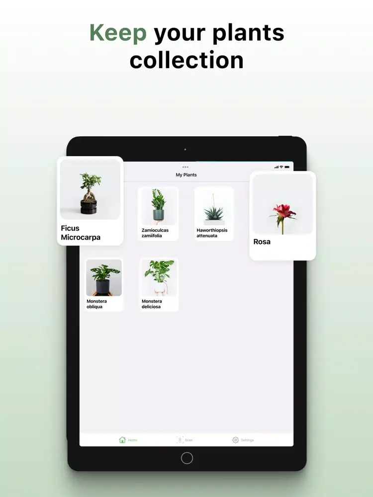 Plant ID: leaf identification iPad 應用截圖