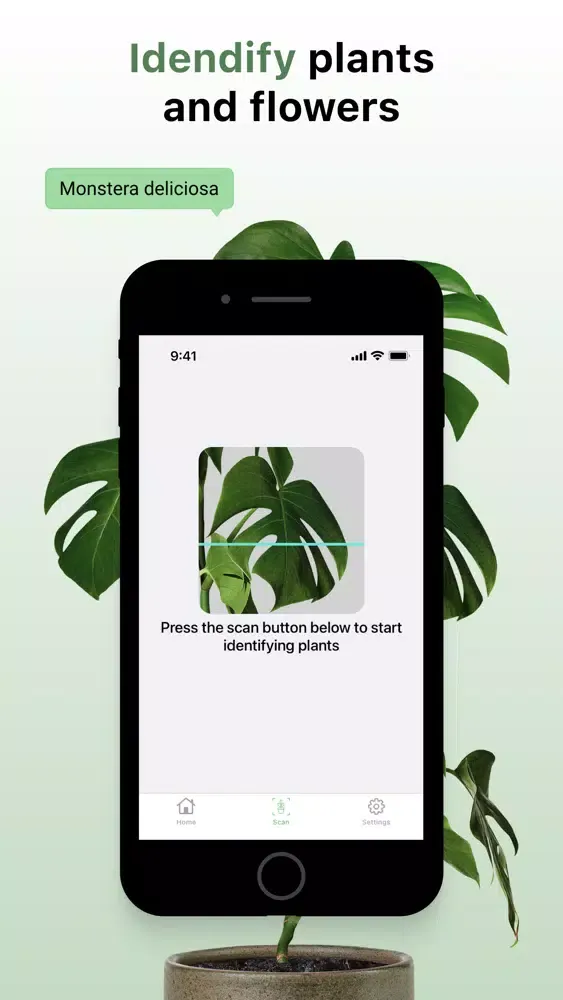 Plant ID: leaf identification應用截圖
