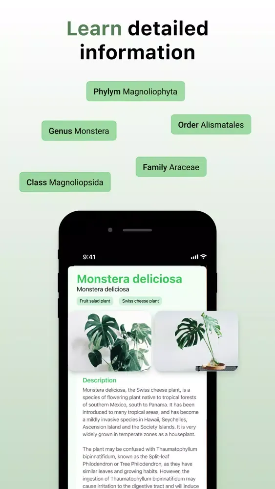 Plant ID: leaf identification應用截圖