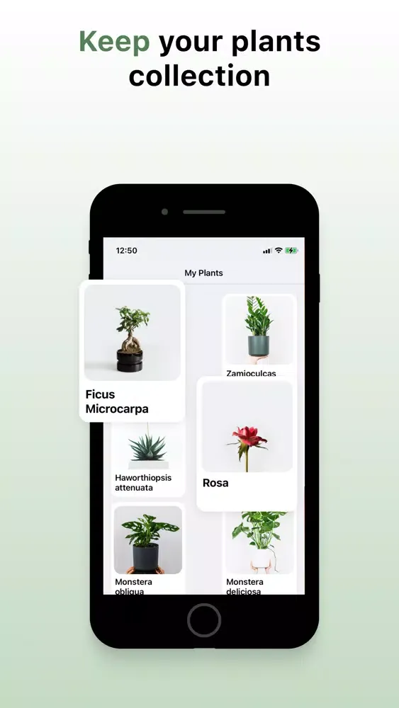 Plant ID: leaf identification應用截圖
