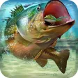 Let's fish- fishing games