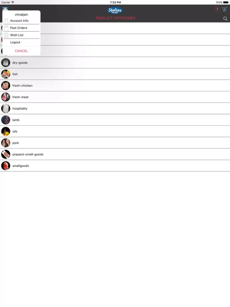 تصاویر Stoliar iPad 