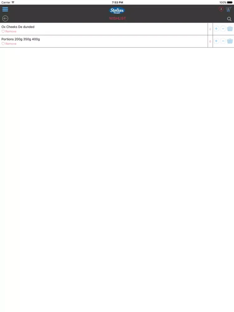 تصاویر Stoliar iPad 