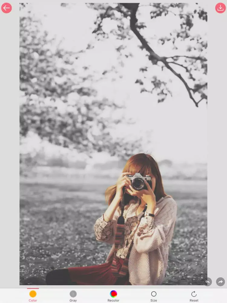 Скриншоты Color Effects - Photo Splash & Recolor Picture iPad 