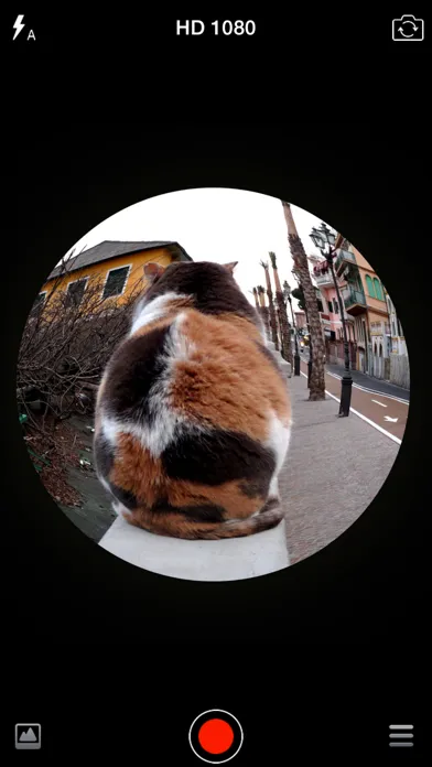 Instant Camera - One Touch On Screen To Record應用截圖