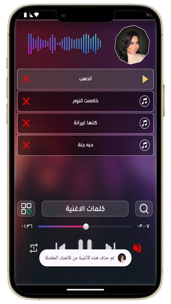 جميع اغاني شيرين 2024 بدون نت Screenshots