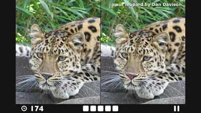 Zrzuty ekranu Find the Difference!
