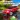 Extreme Car Driving 2 3D