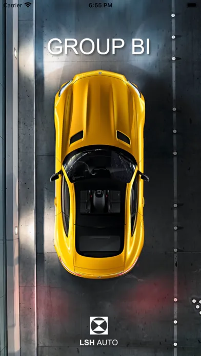LSH Auto Group BI (KR) 스크린샷