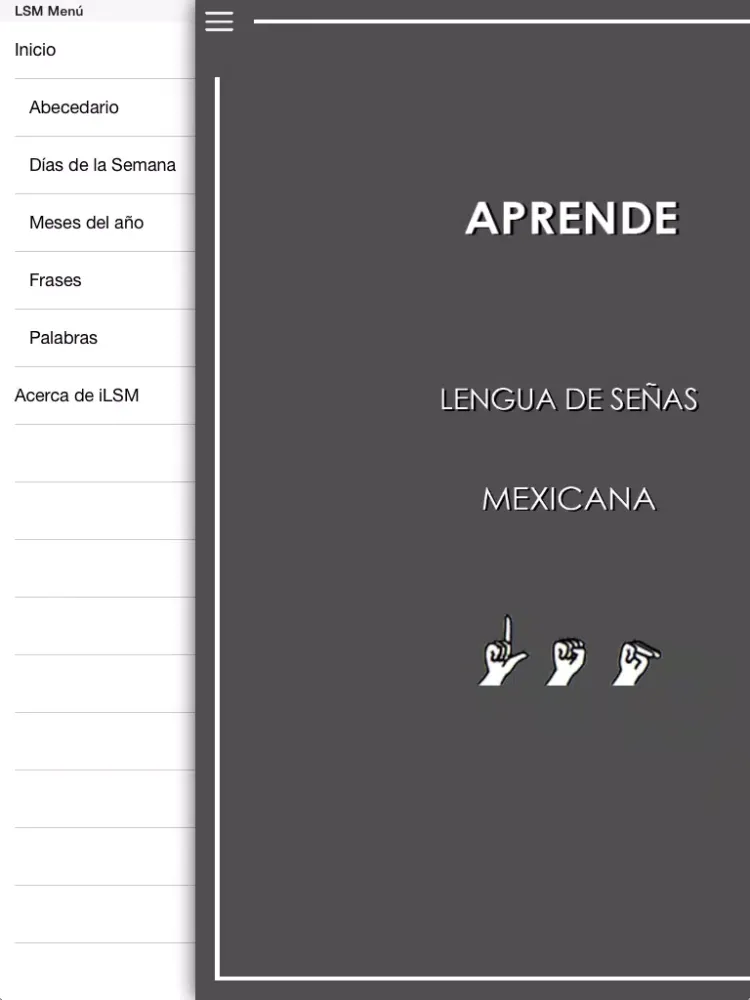 تصاویر iLSM iPad 